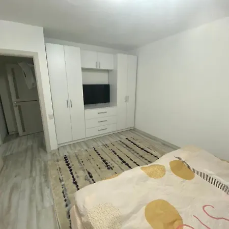 Apartment Calinescu Iulia Bucharest