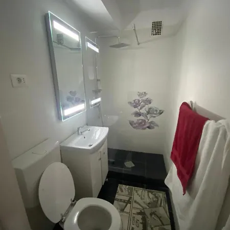 Apartmán Calinescu Iulia Bukurešť